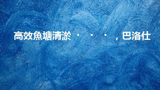 高效魚塘清淤，巴洛仕設(shè)備助力生態(tài)養(yǎng)殖